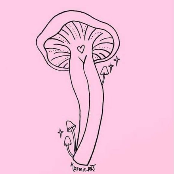 Micro Dosing - Picture 4 of 9